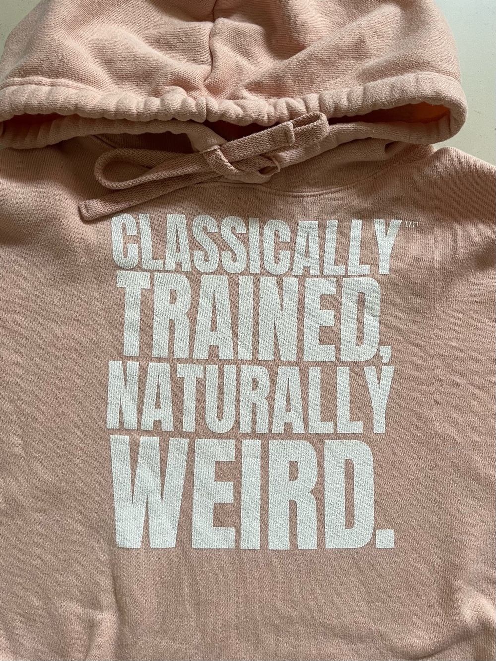 Ballet Core cropped hoodie AXS - Sold out online!